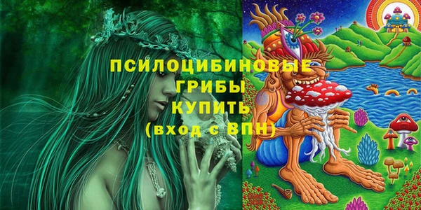 соль ск Абдулино