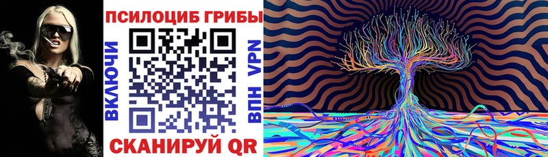 Псилоцибиновые грибы ЛСД  Химки 